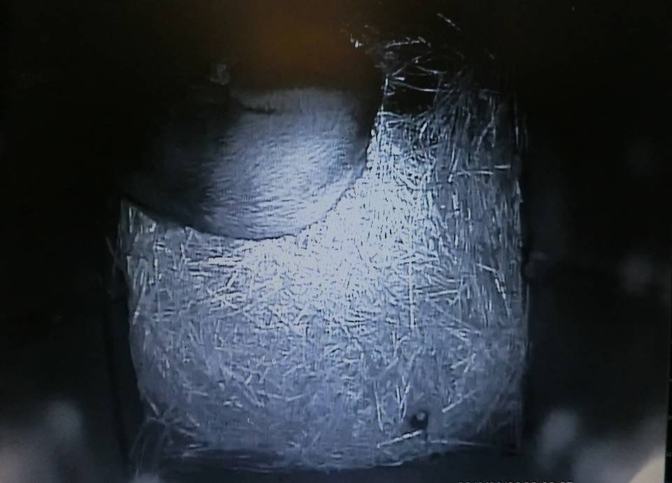 バースデー (19).jpg