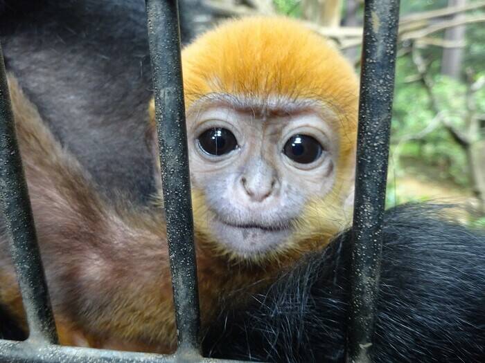 定位置は 飼育日誌 よこはま動物園ズーラシア公式サイト 公益財団法人 横浜市緑の協会 定位置は 飼育日誌 よこはま動物園ズーラシア公式サイト 公益財団法人 横浜市緑の協会