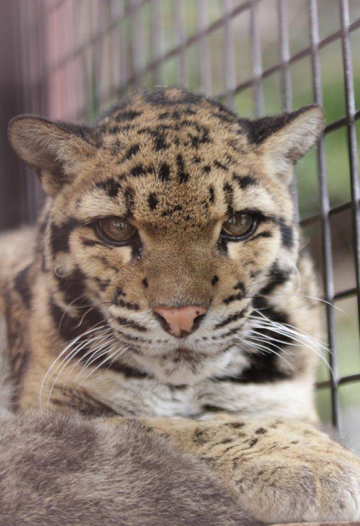 アニルのアップ①