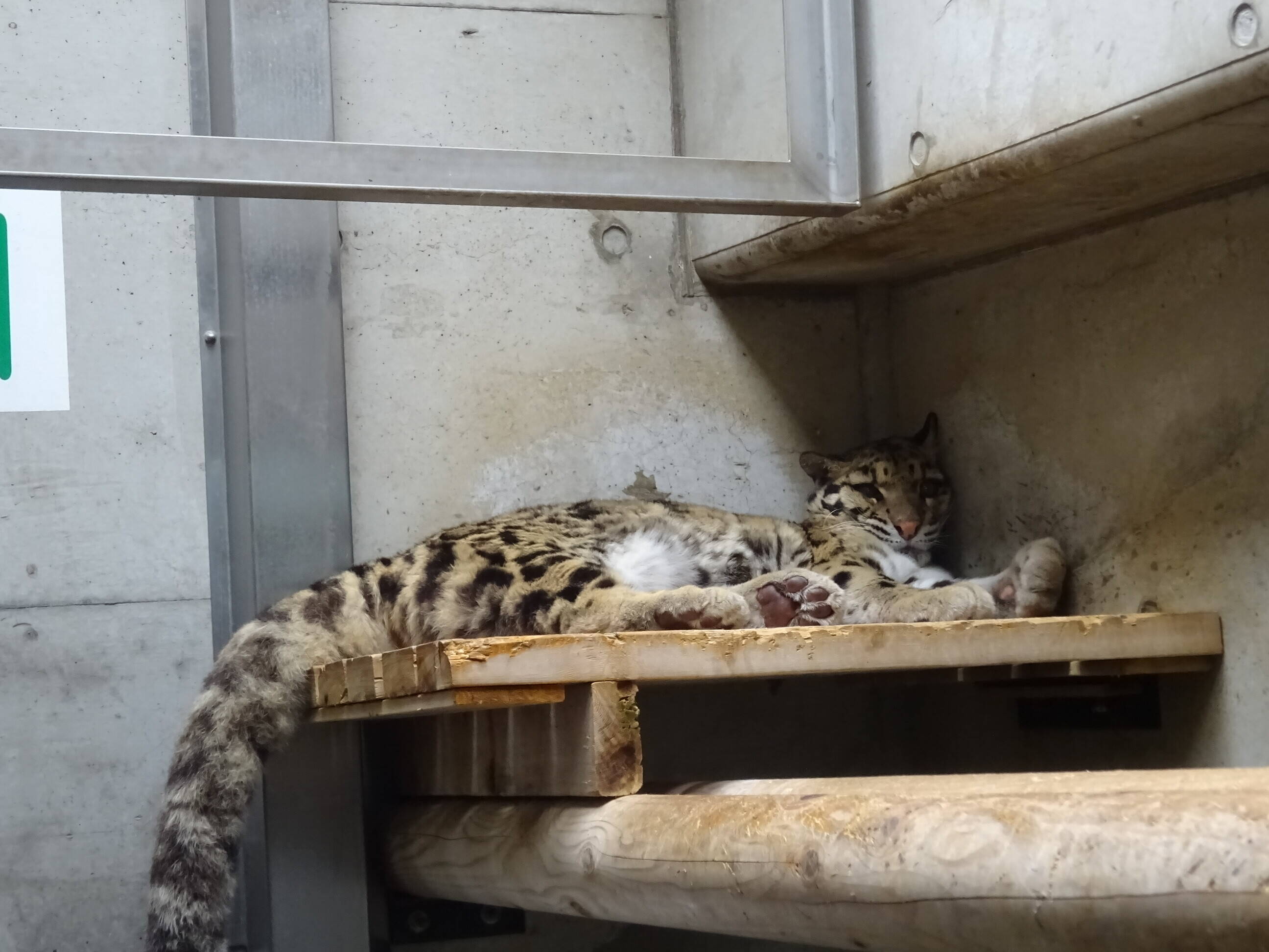 季節の変化に伴って 飼育日誌 よこはま動物園ズーラシア公式サイト 公益財団法人 横浜市緑の協会 季節の変化に伴って 飼育日誌 よこはま動物園ズーラシア公式サイト 公益財団法人 横浜市緑の協会
