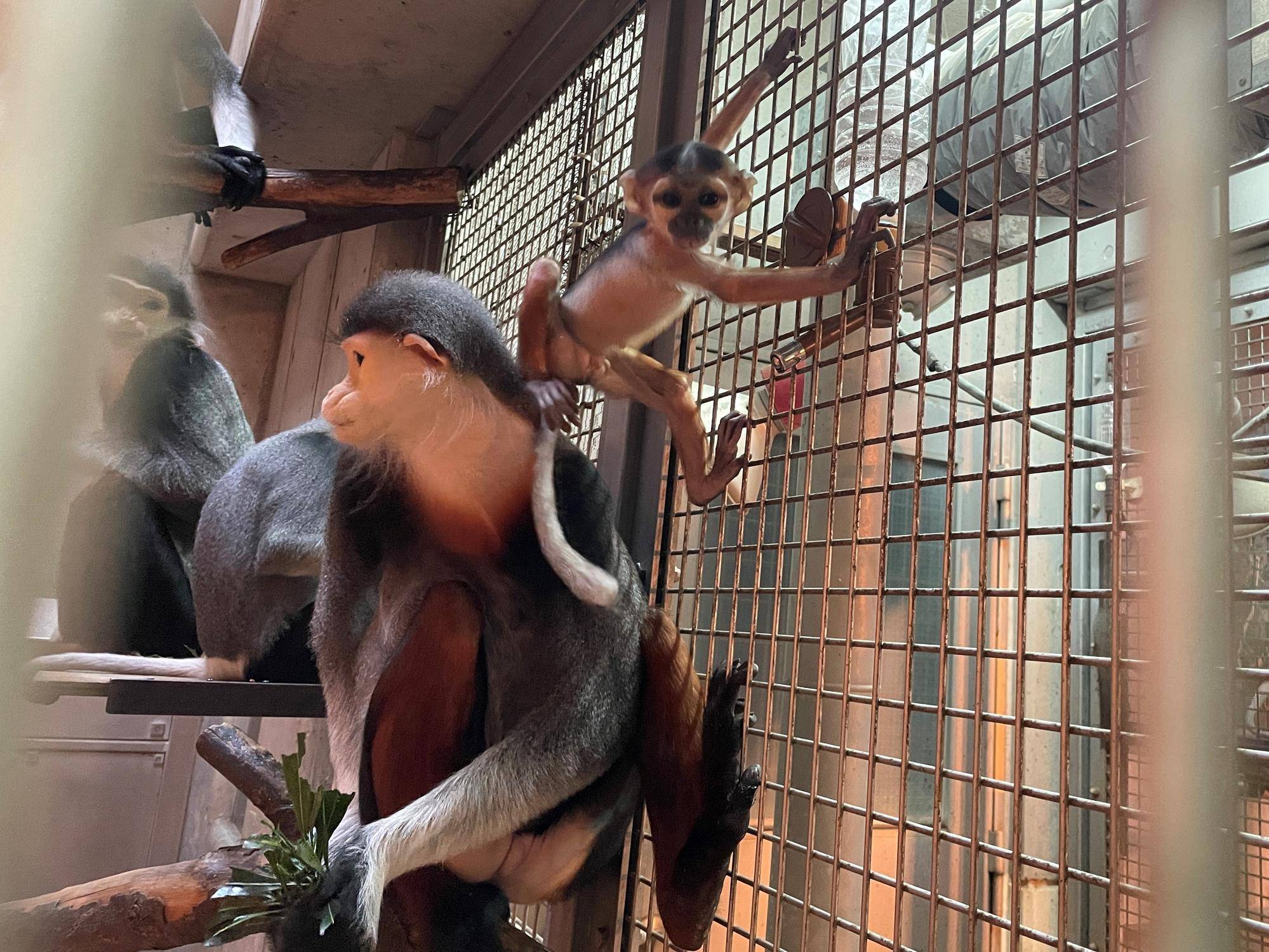 【飼育日誌】20220523:改めて紹介 (7).jpg