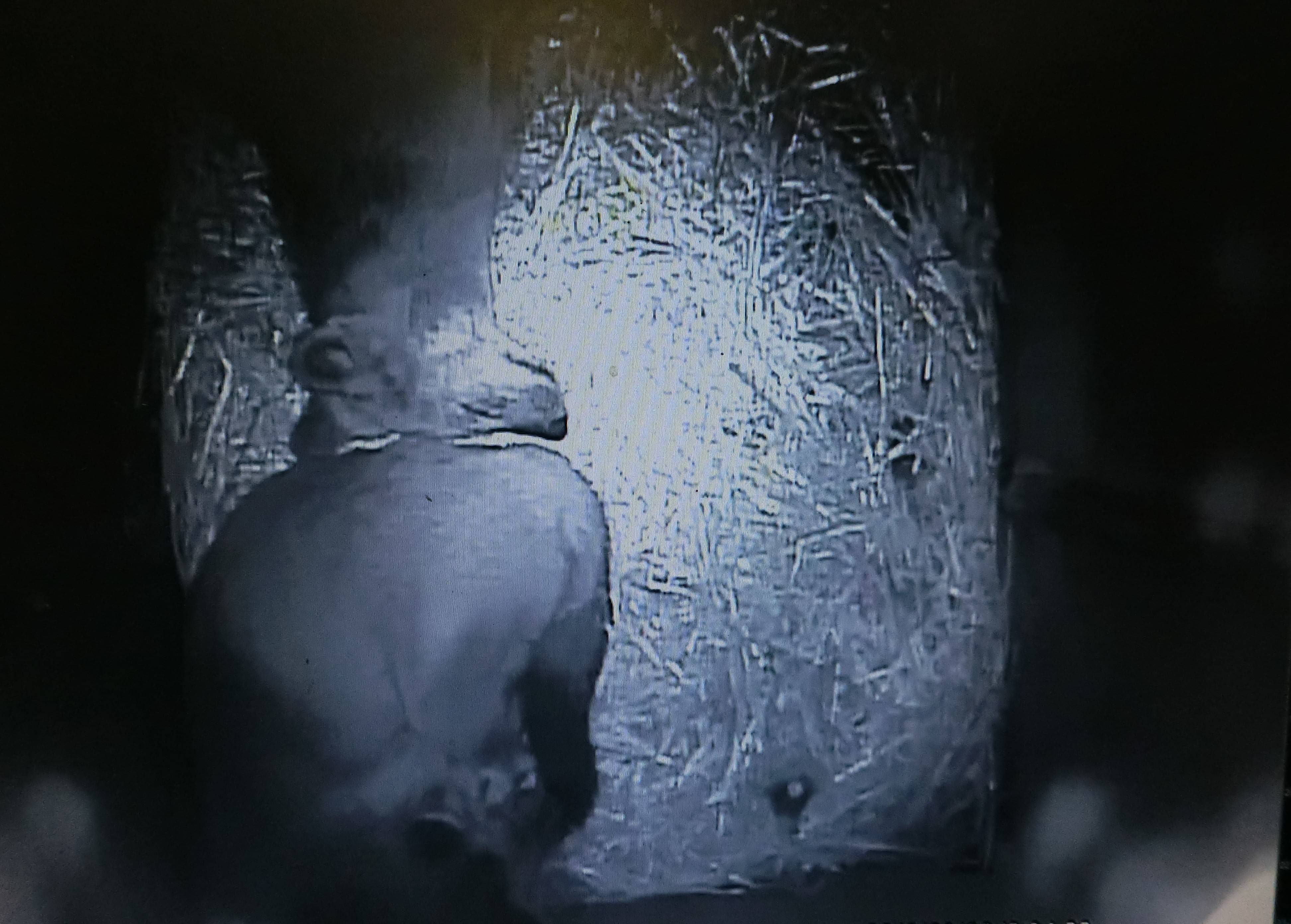 バースデー (8).jpg