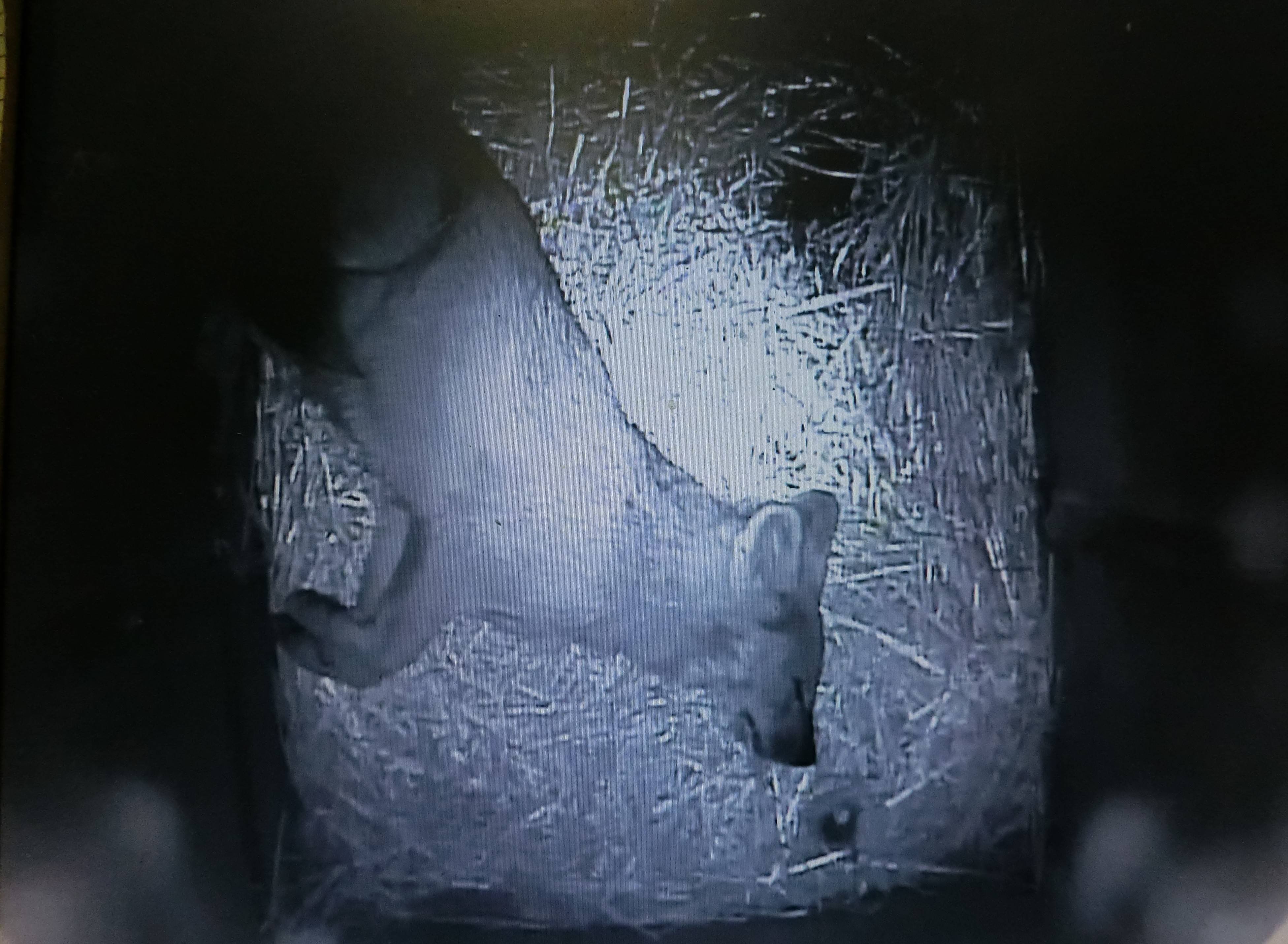 バースデー (17).jpg