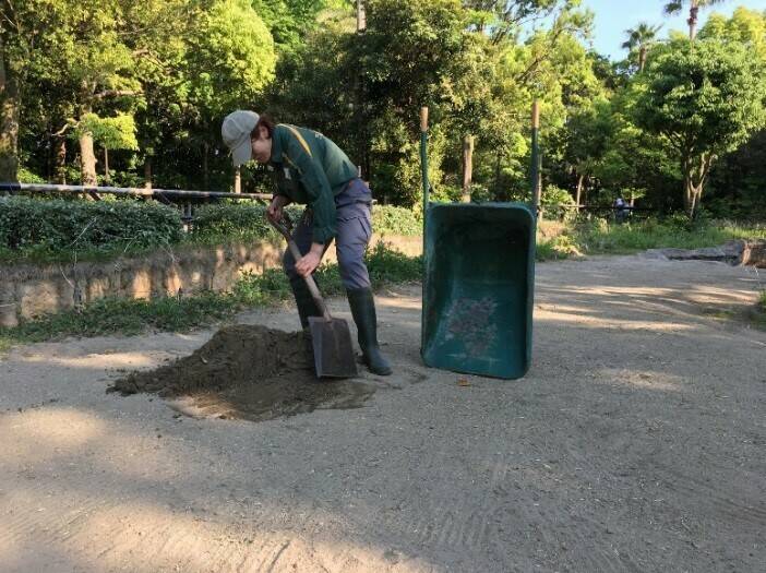 飼育日誌 20190519-5 裏側.jpg