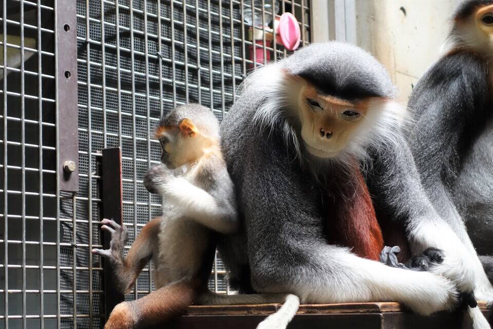 ラー④.jpg