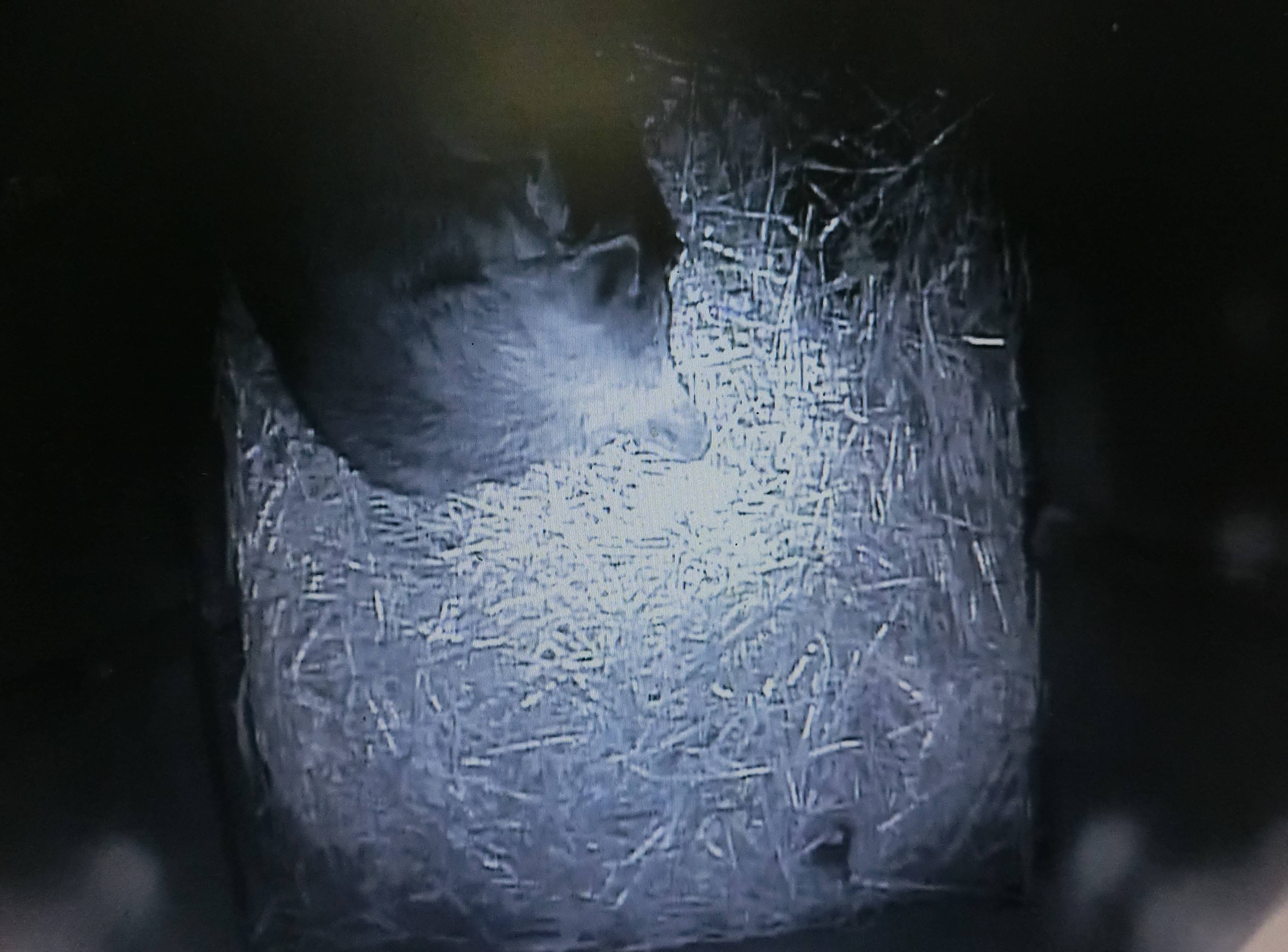 バースデー (28).jpg