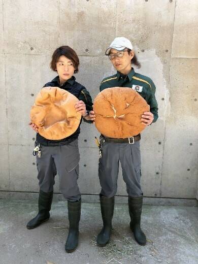 飼育日誌 20190519-8 裏側 .jpg