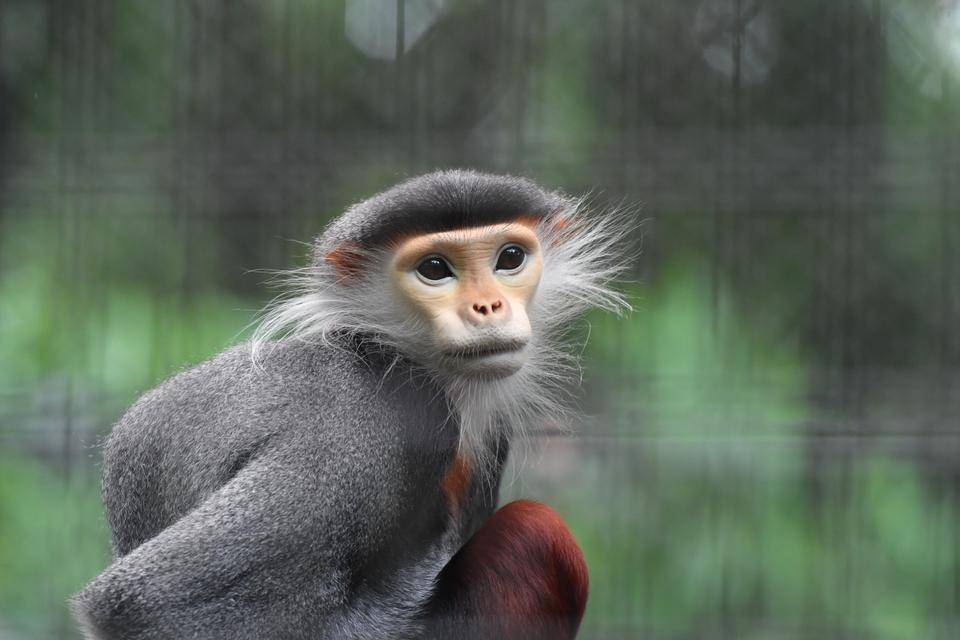 元気だったころのアーニ