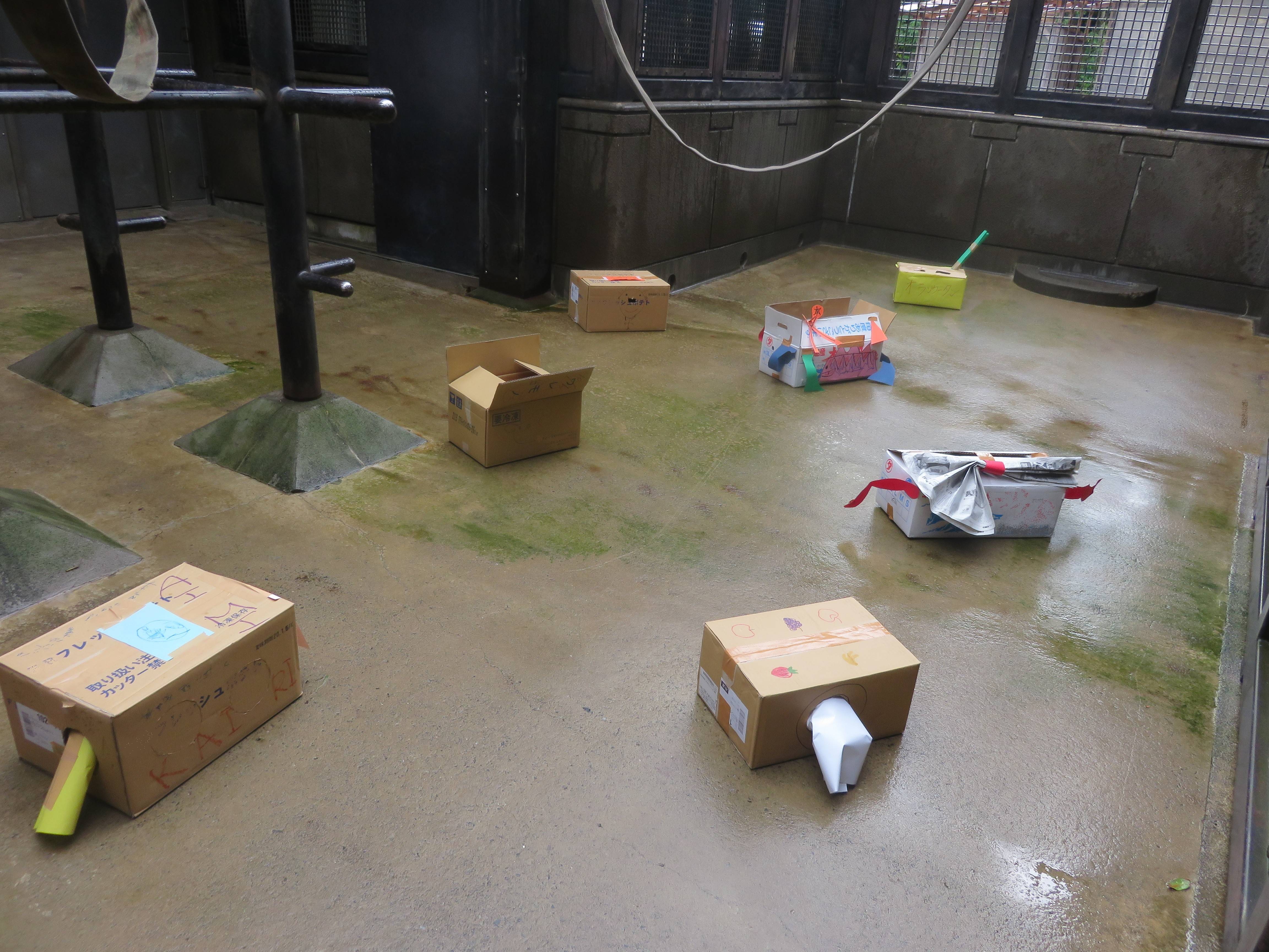 2018110606オラン段ボール.jpg