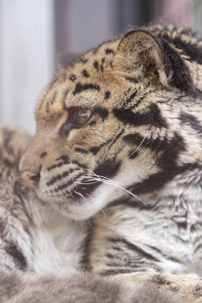 アニルのアップ③