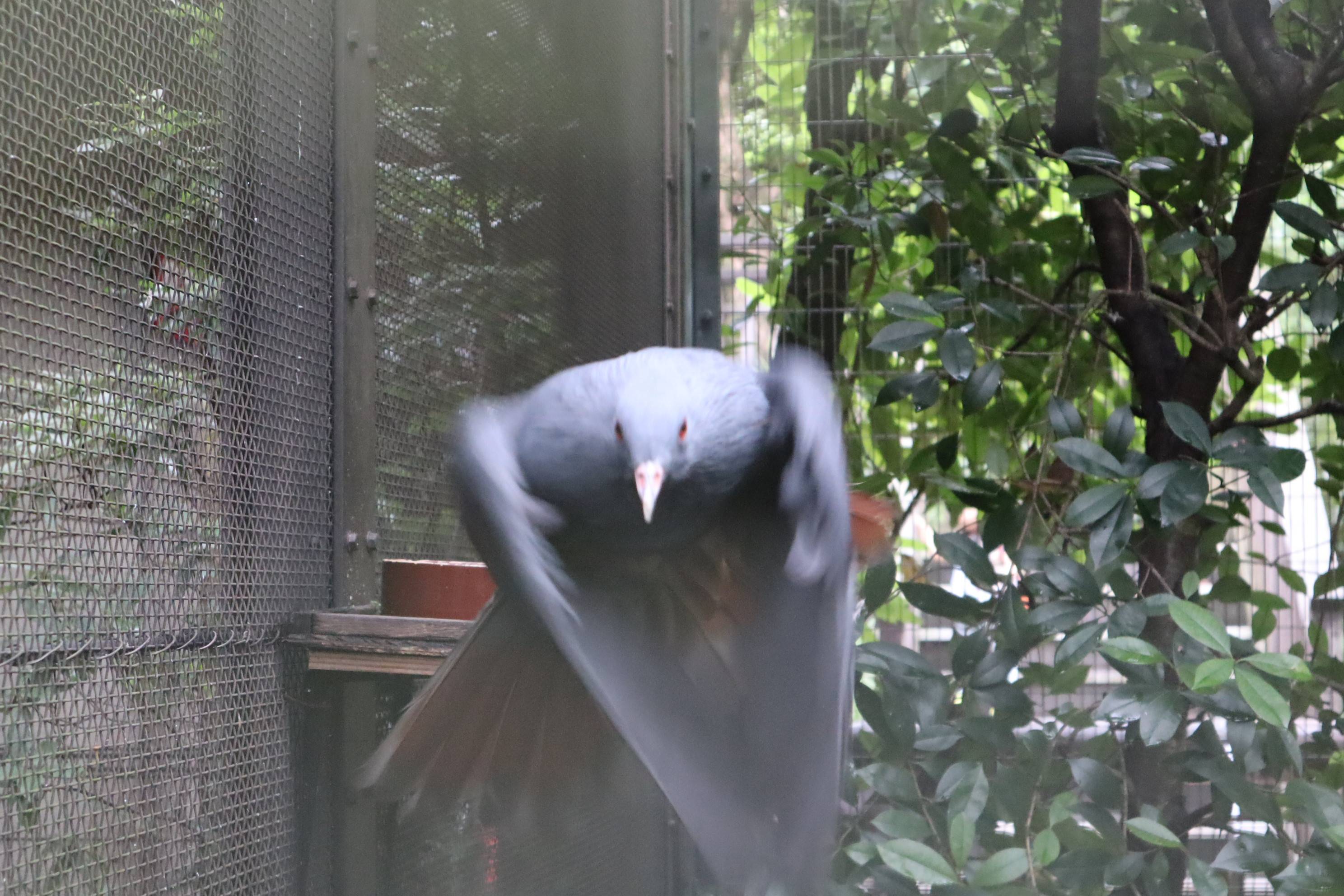 【飼育日誌】20201031：激変 (8).jpg