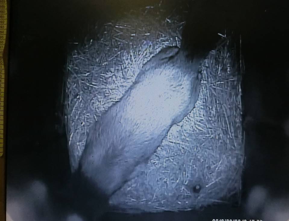 バースデー (13).jpg