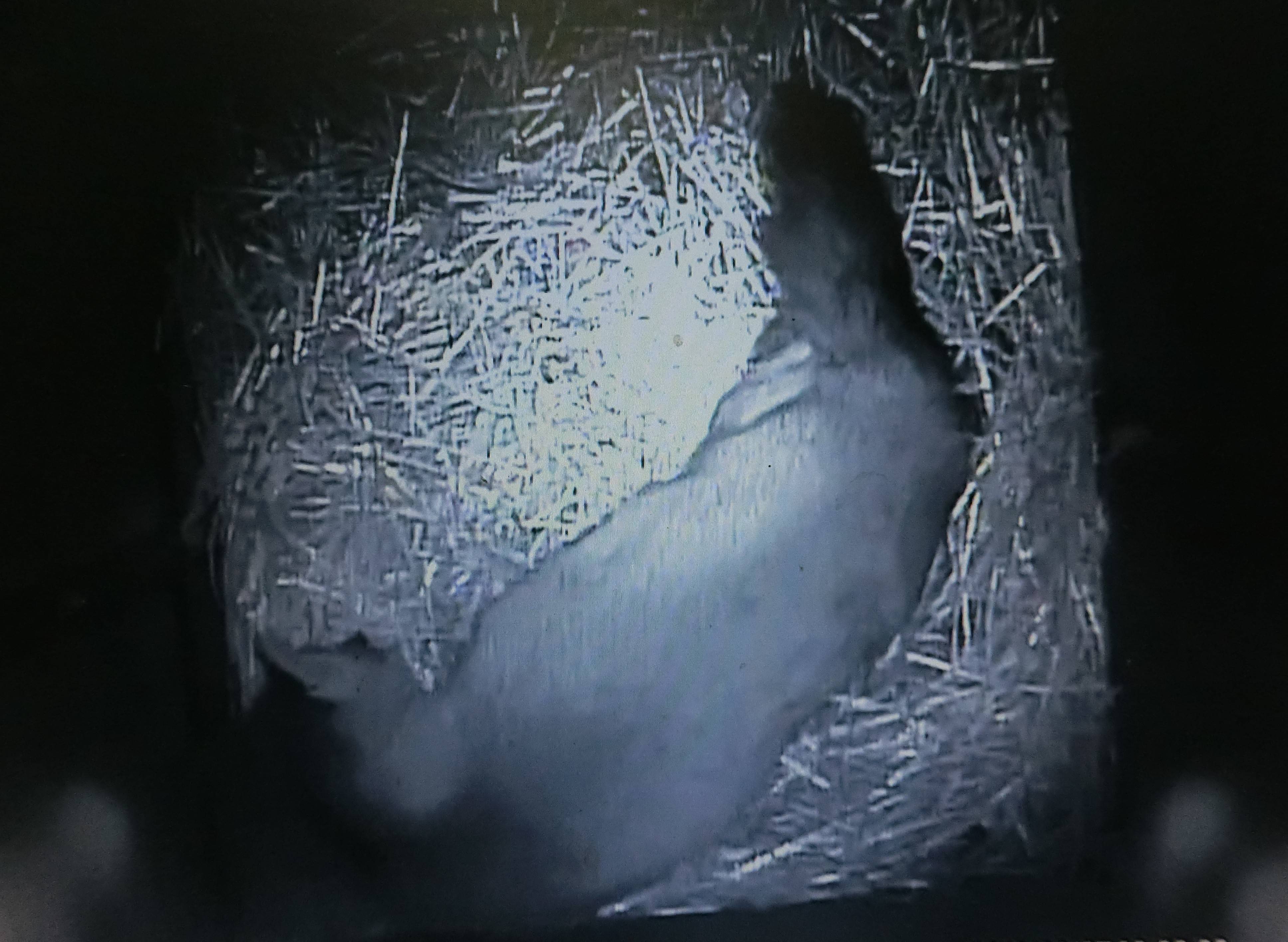 バースデー (43).jpg