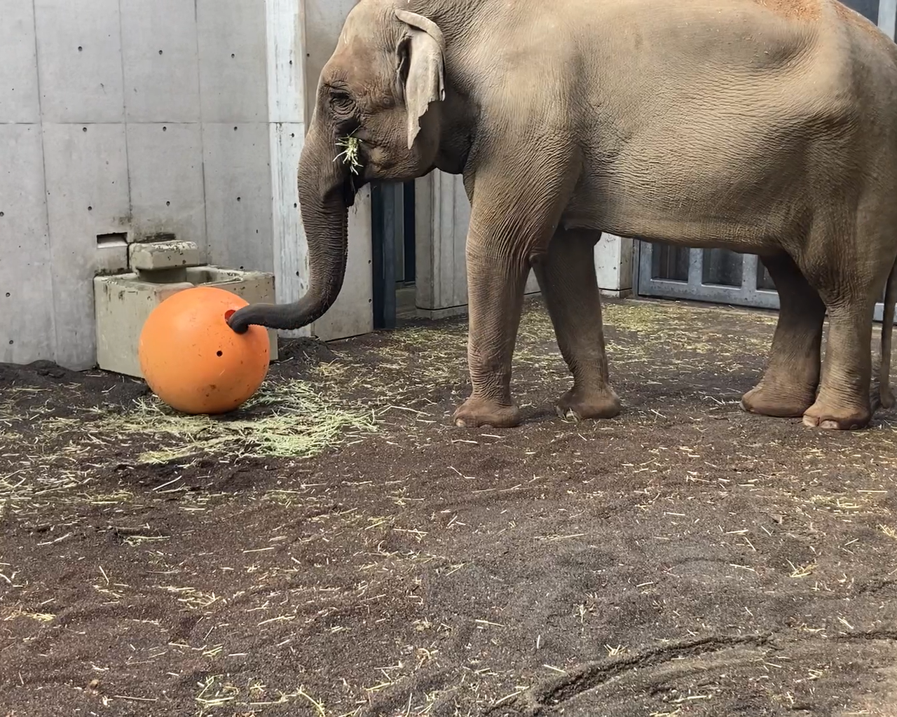 スクリーンショット (3).png