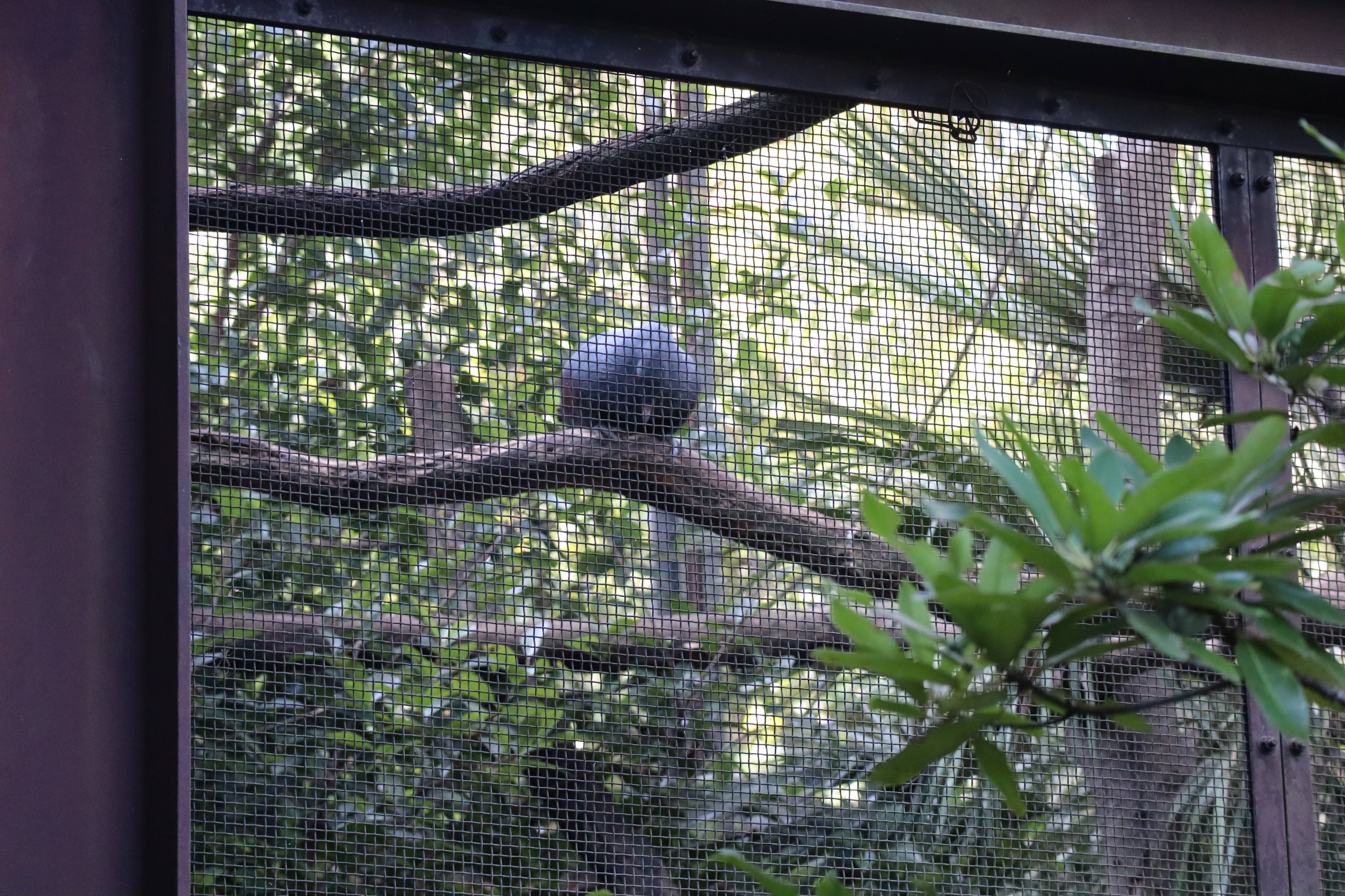 【飼育日誌】20201031：激変 (15).jpg