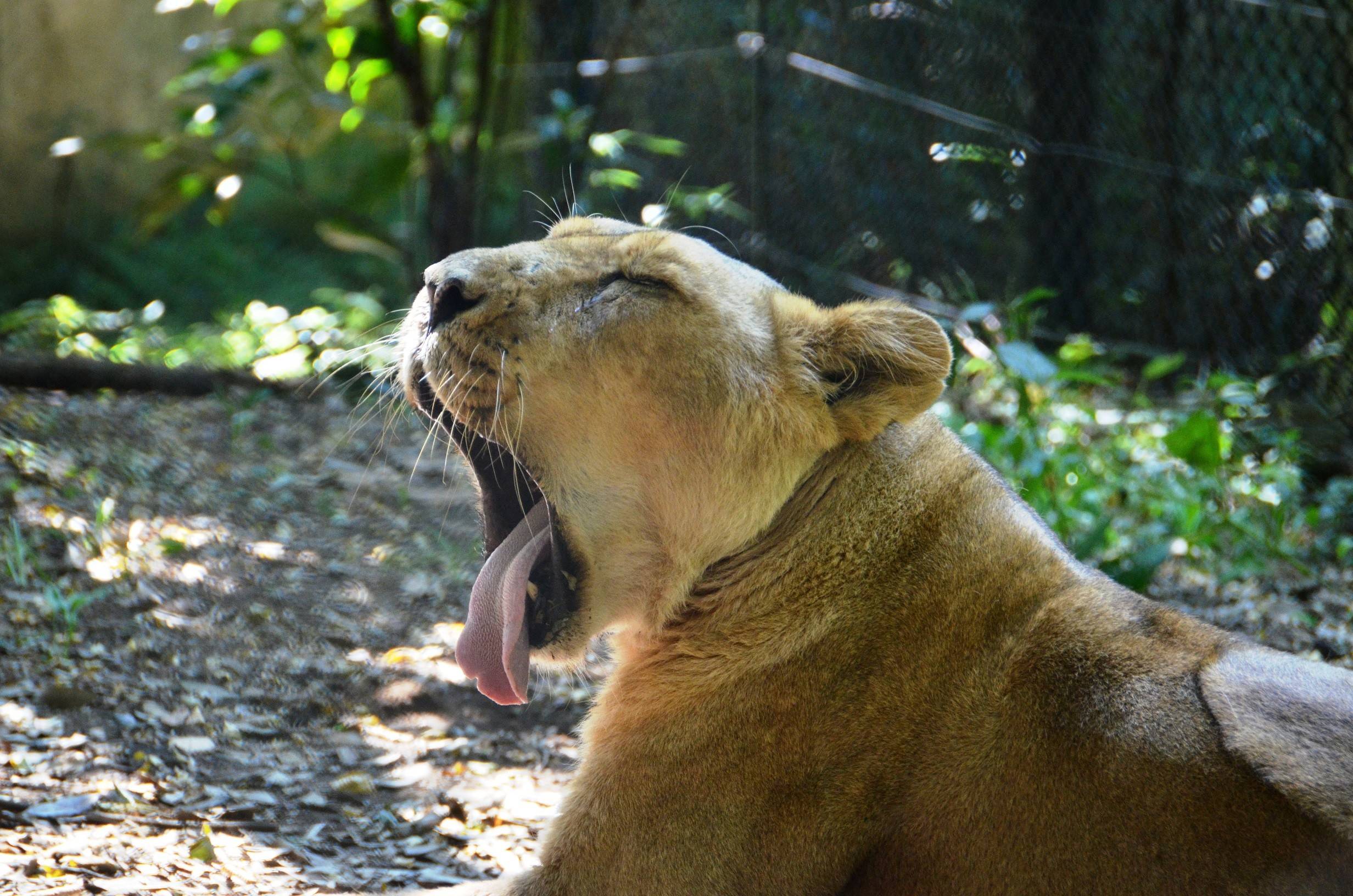 08サティ (4) - コピー.jpg