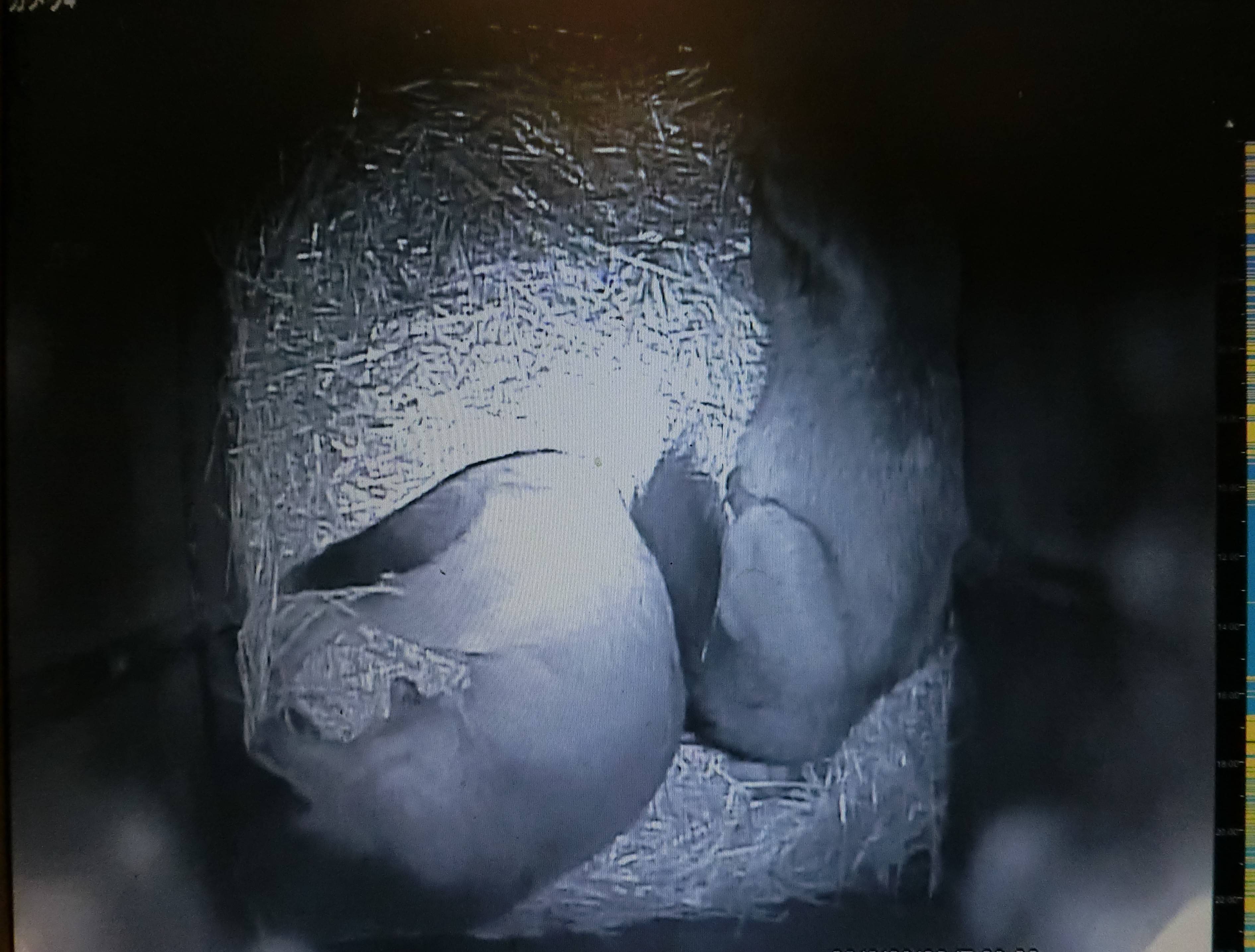 バースデー (3).jpg