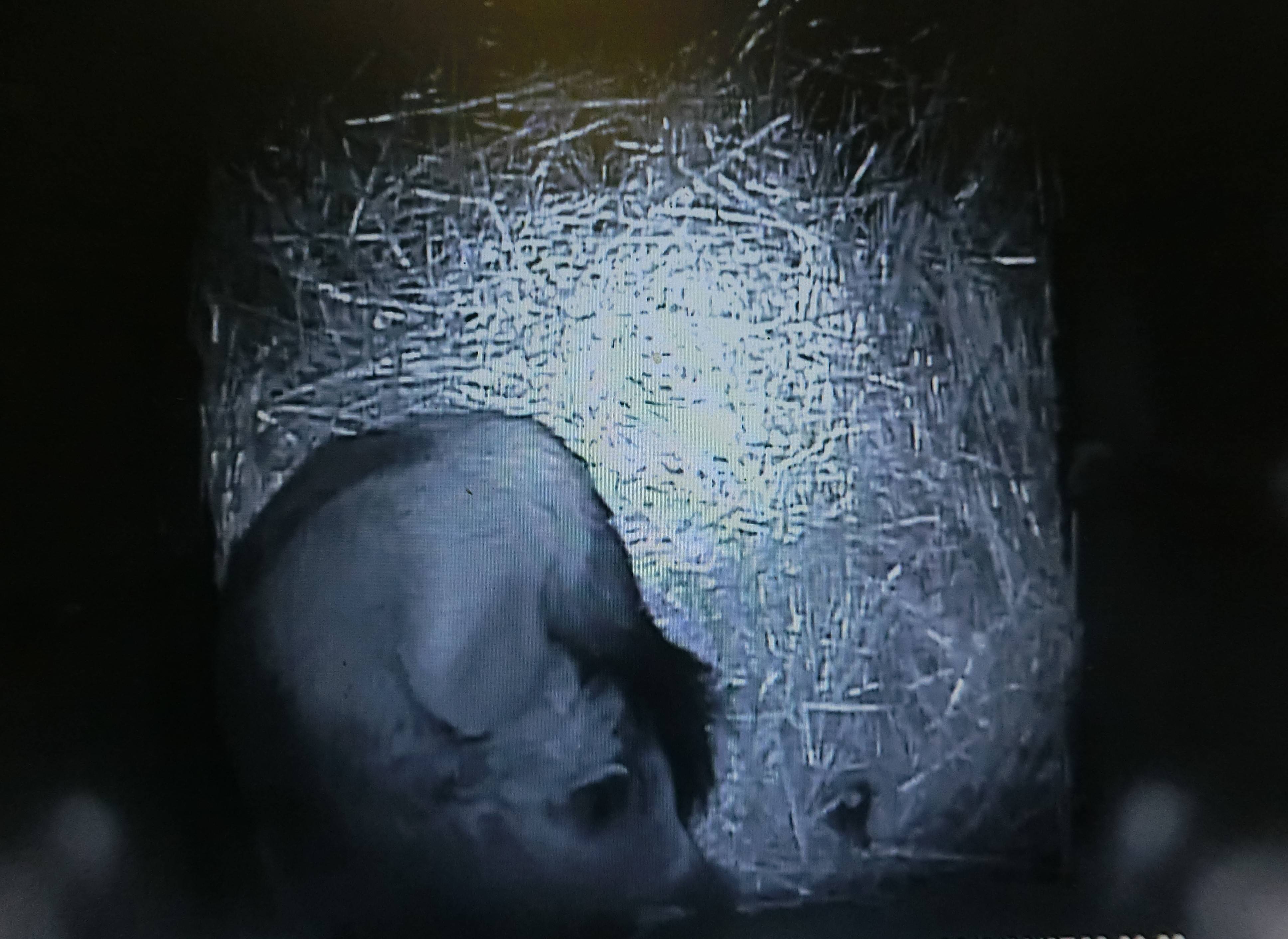 バースデー (35).jpg