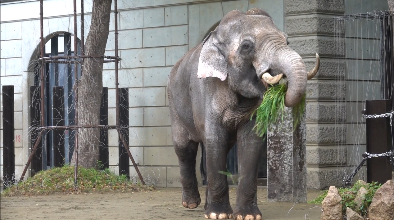 スクリーンショット (12).png