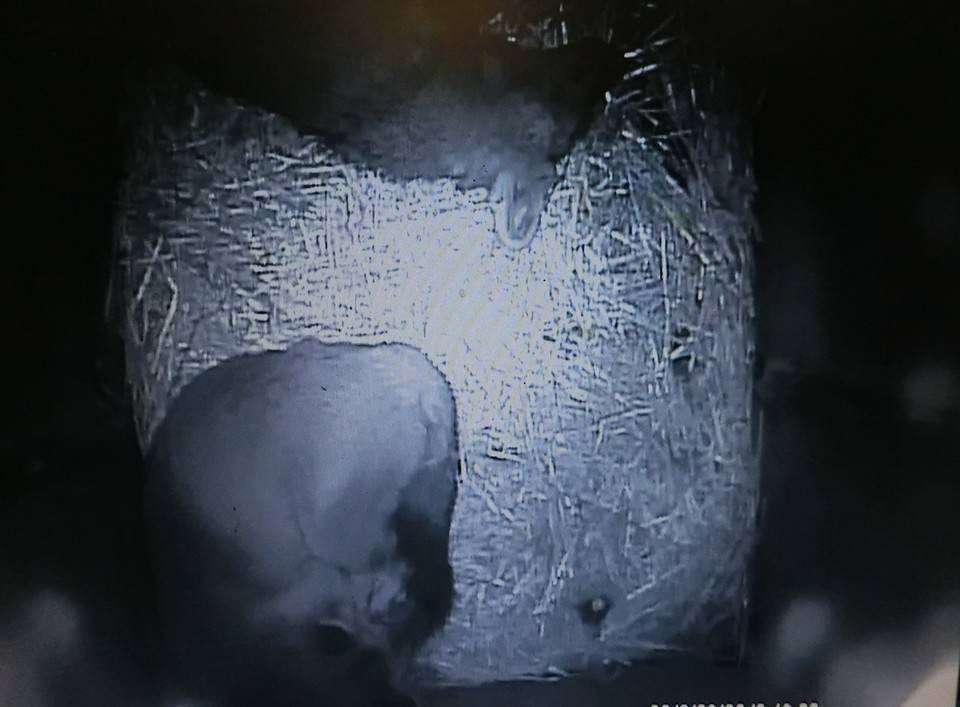 バースデー (9).jpg