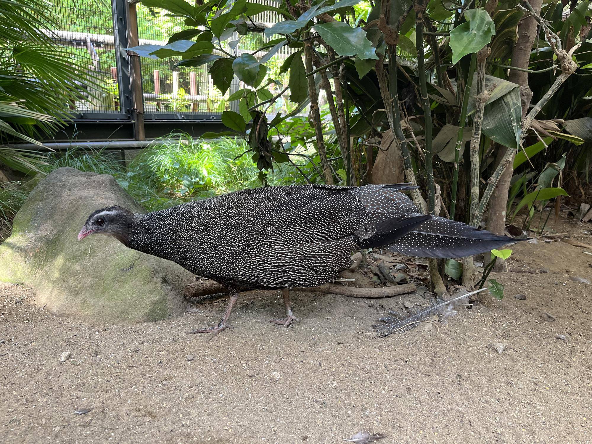 ブログ候補 (5)7.24.jpg