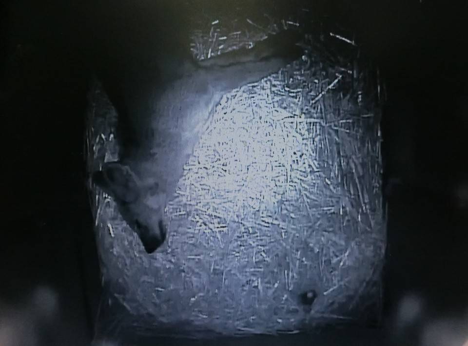 バースデー (15).jpg