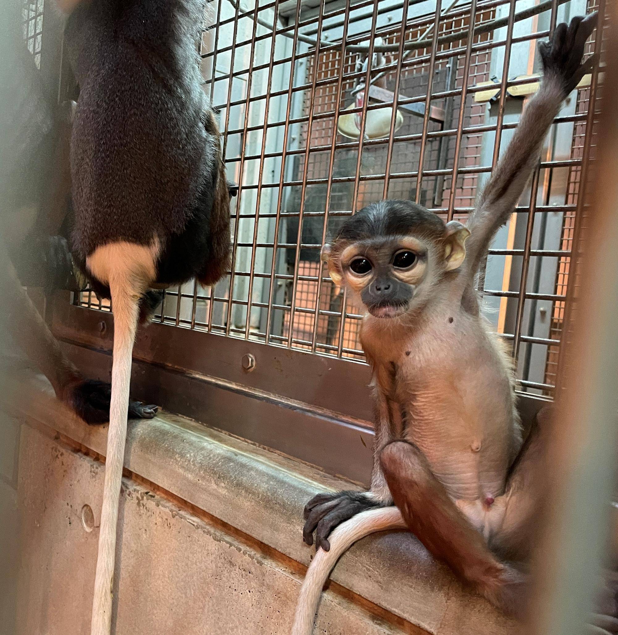 【飼育日誌】20220523:改めて紹介 (8).jpg