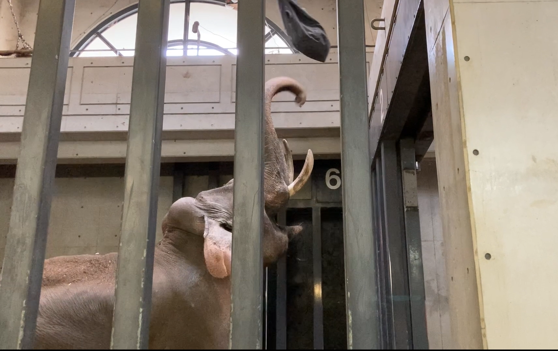 スクリーンショット (6).png