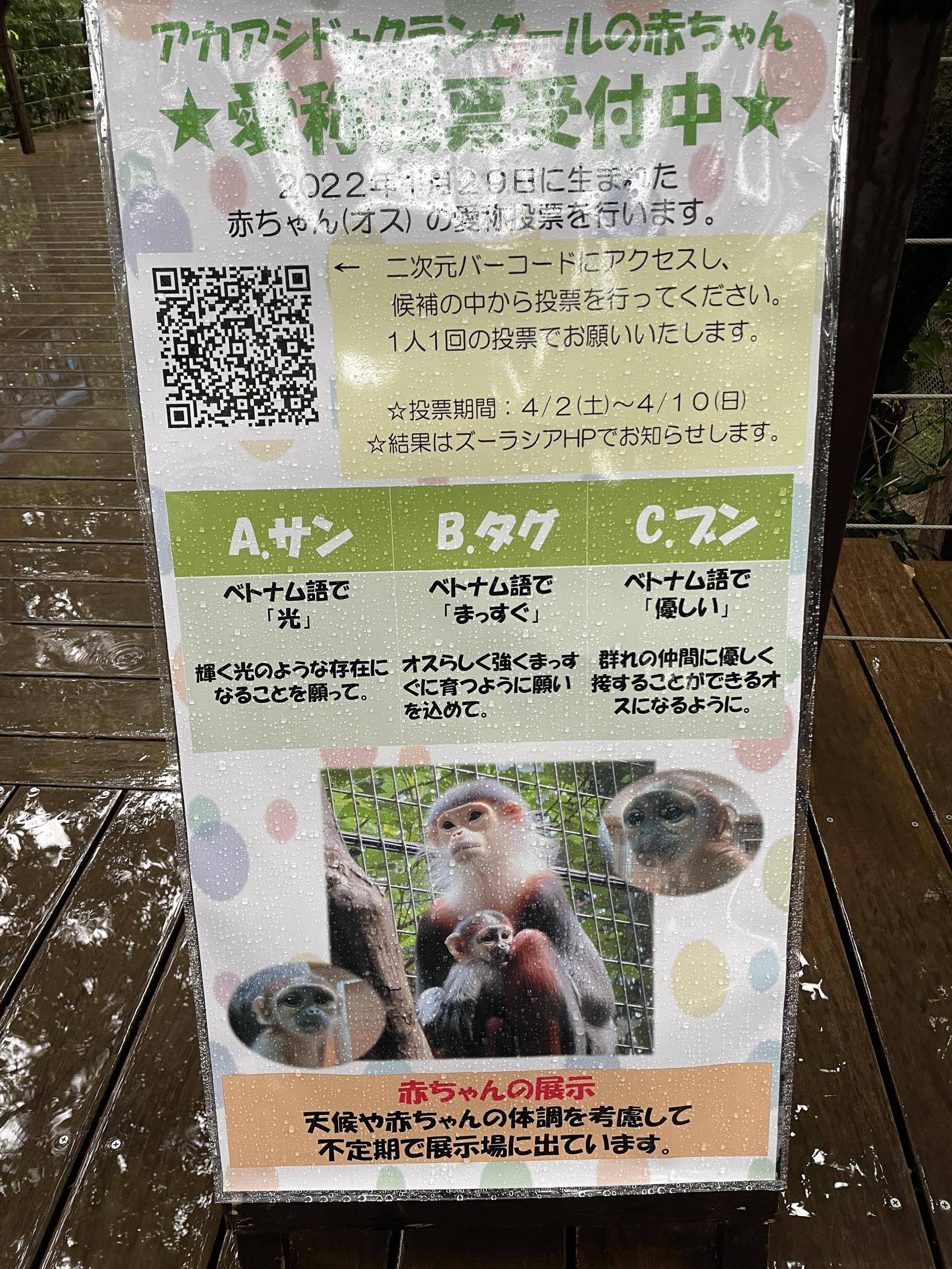 【飼育日誌】20220523:改めて紹介 (3).jpg