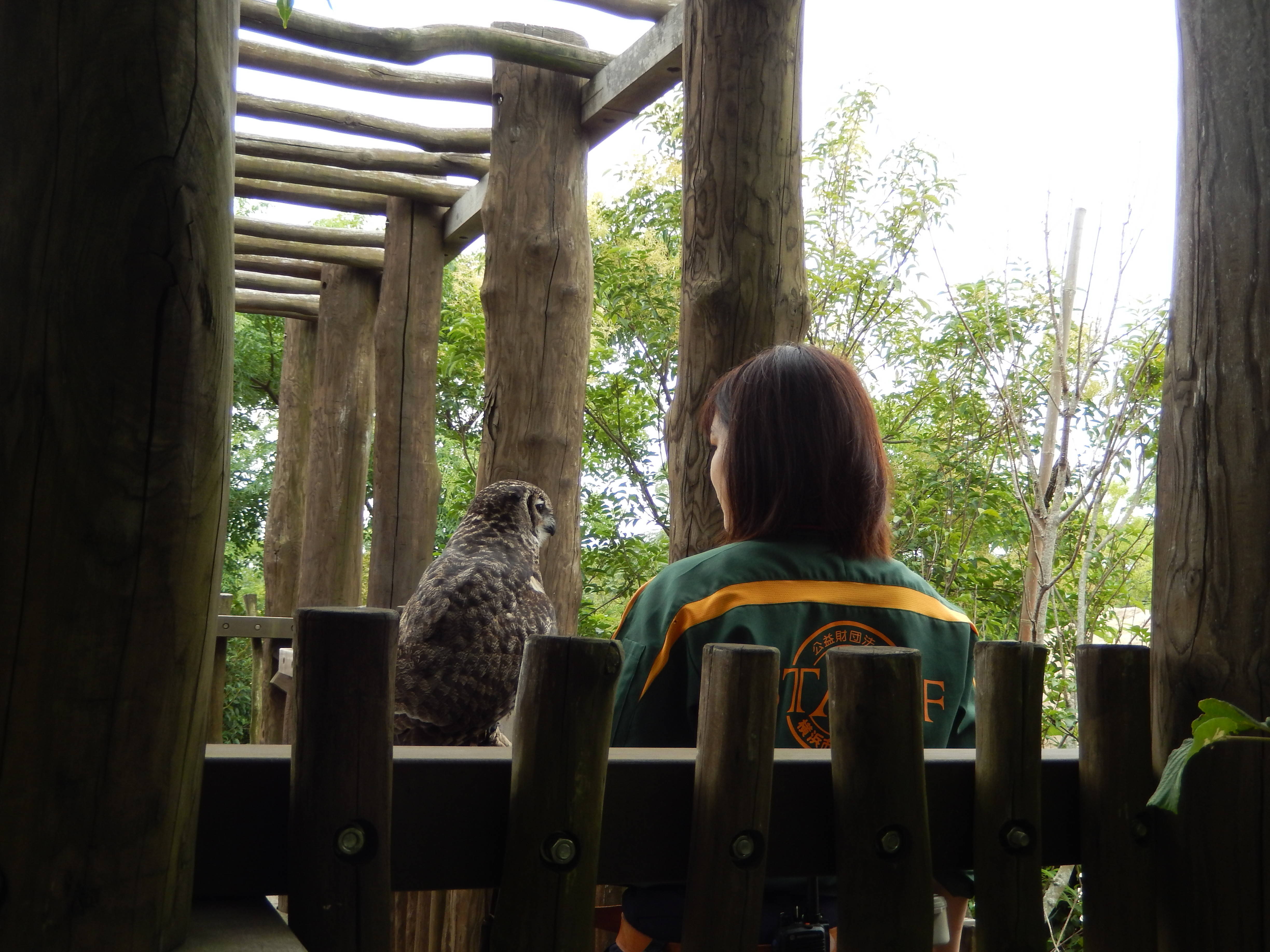 【飼育日誌】170801夜のバードショー (2).jpg