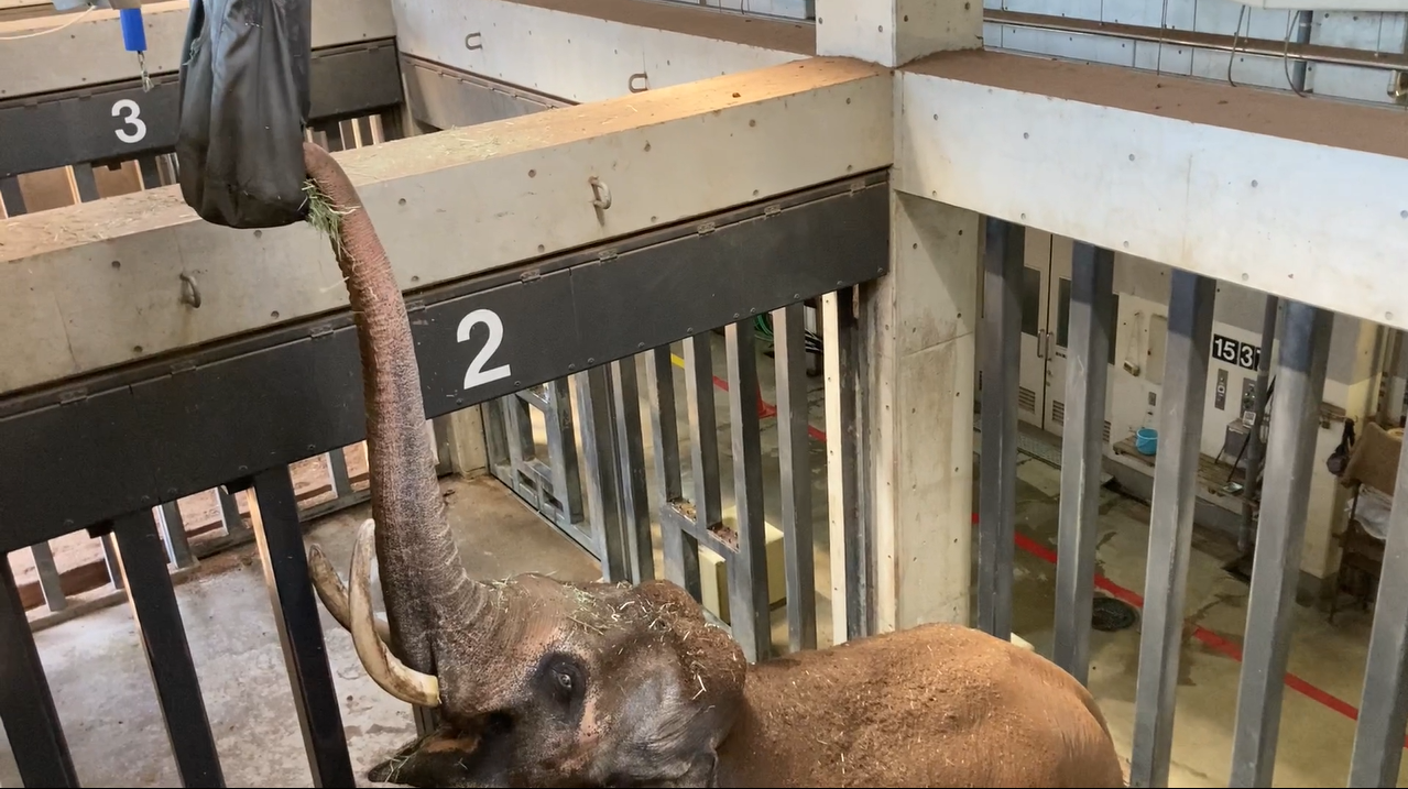 スクリーンショット 9.png