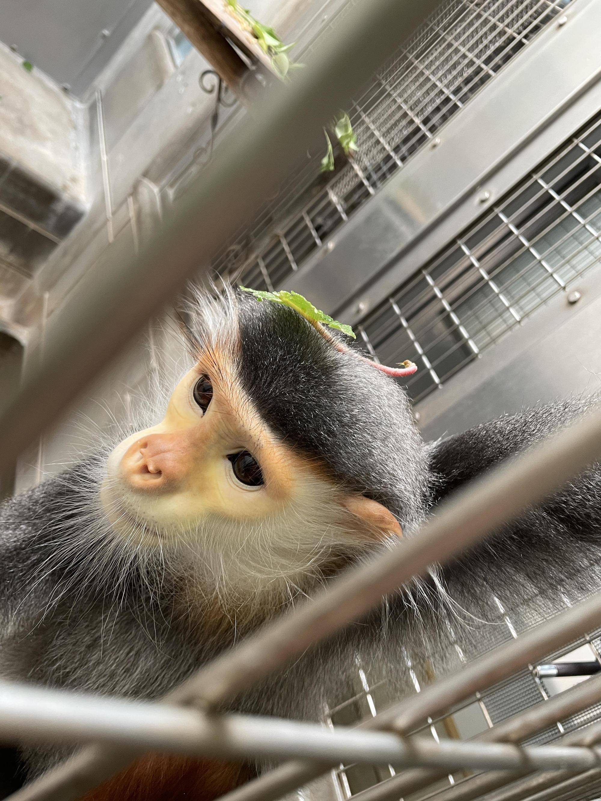 【飼育日誌】20220710:マニかっぱ現る (6).jpg