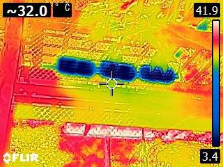 FLIR1469.jpg