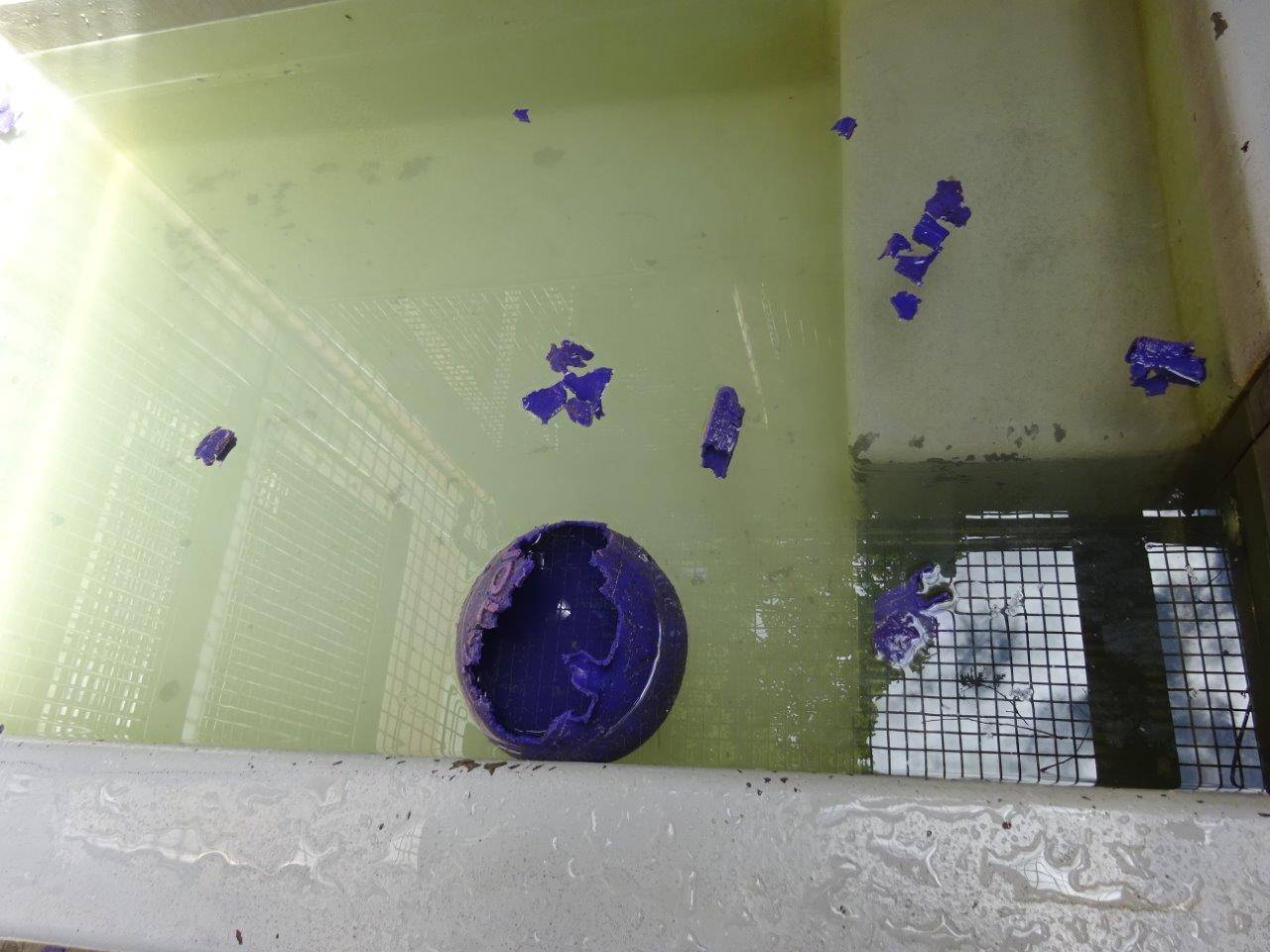 ラウトに破壊されたジョリーボール