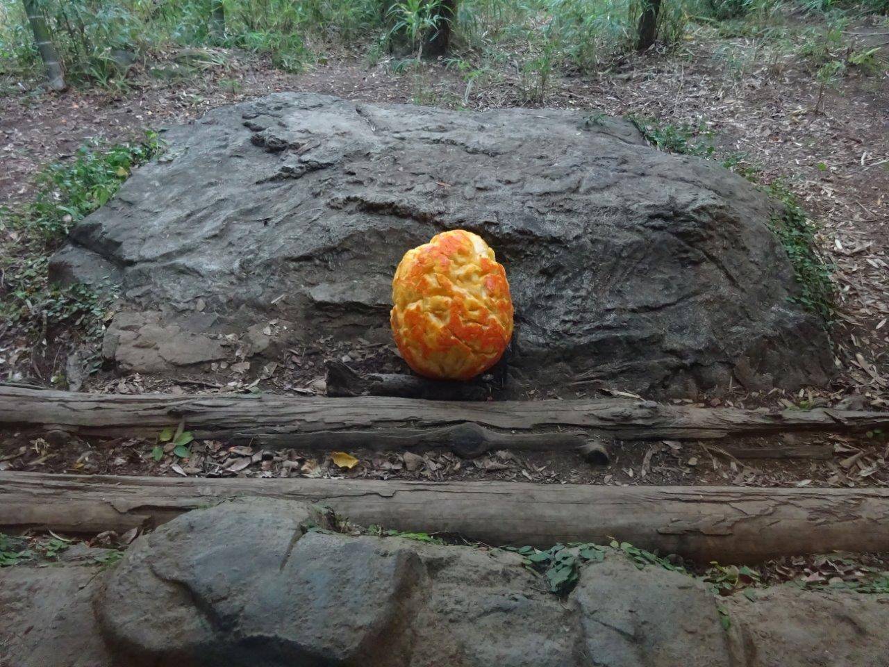 デルの定位置、擬岩ヒーター上にハロウィン用カボチャを置いてみました