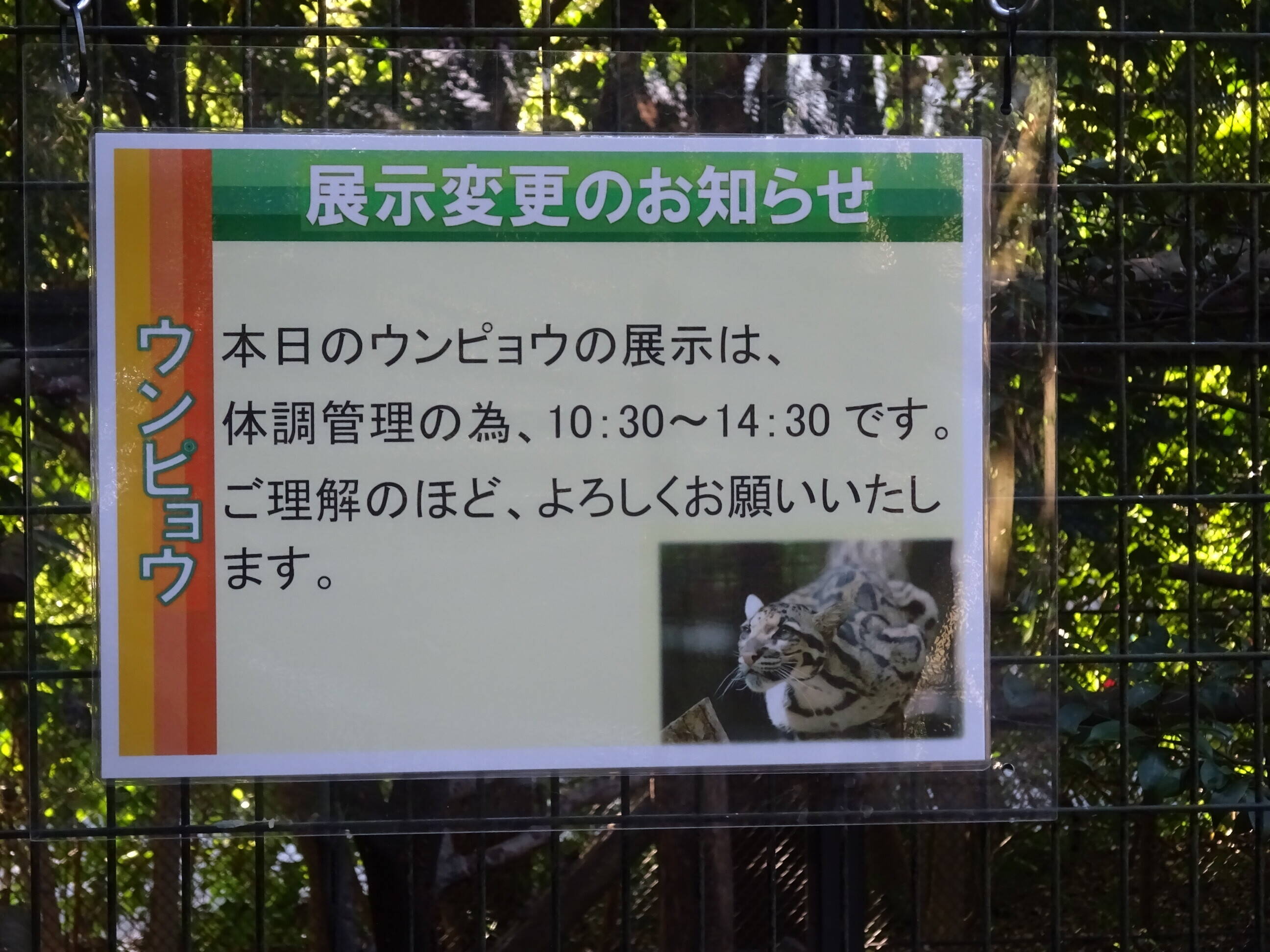DSC03918.jpg