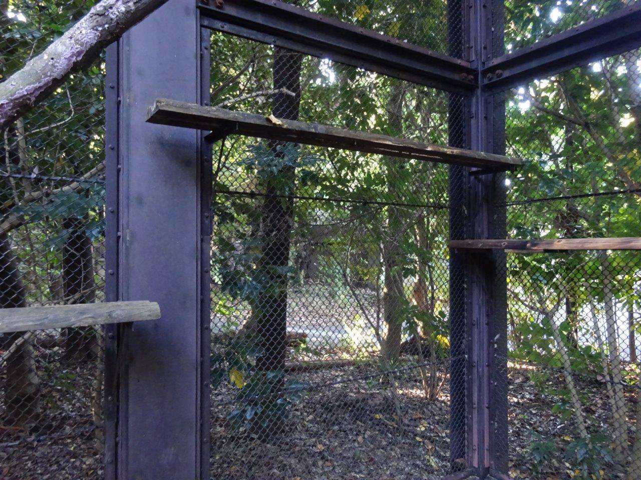 これが問題の段差