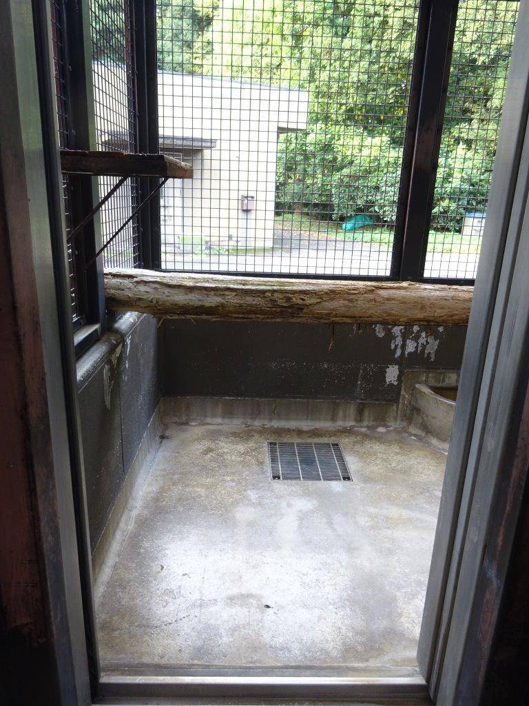 サブ運動場の様子