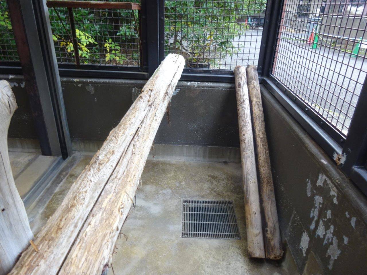 サブ運動場に、新しく取り付けたスロープ