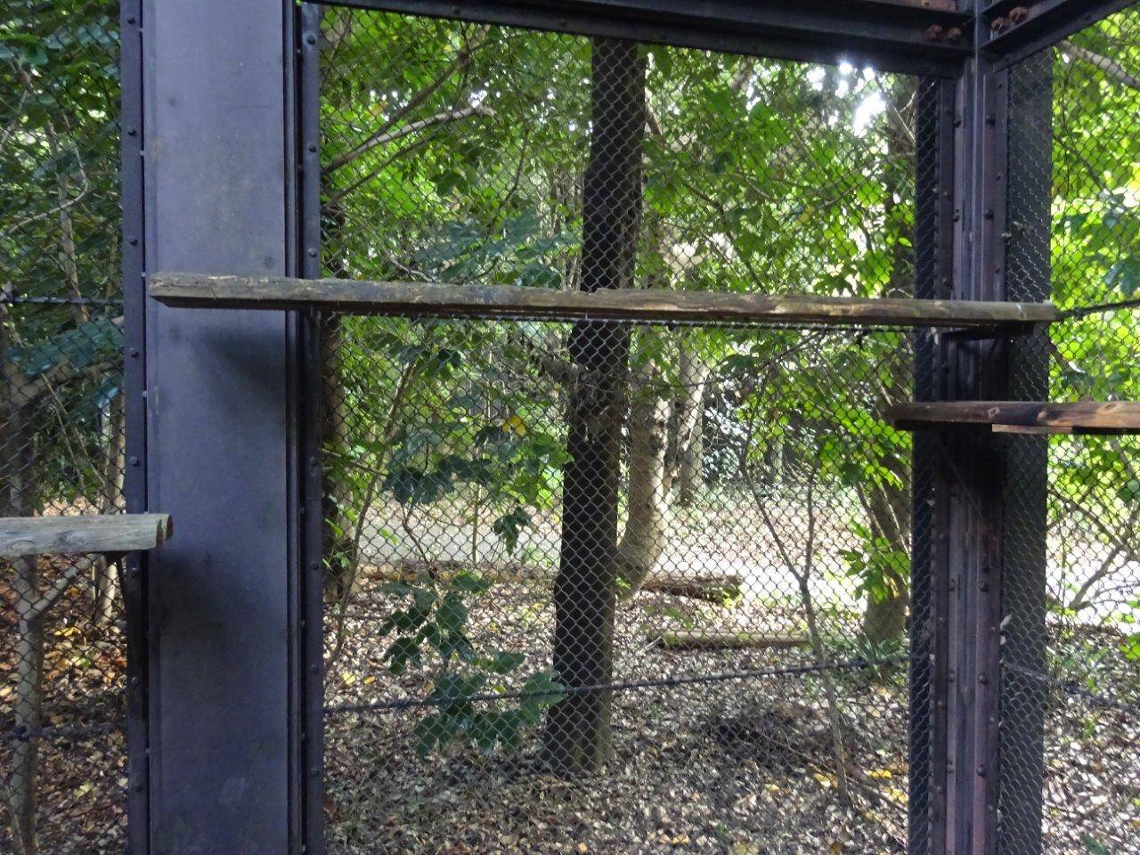 移設が終了したキャットウォーク