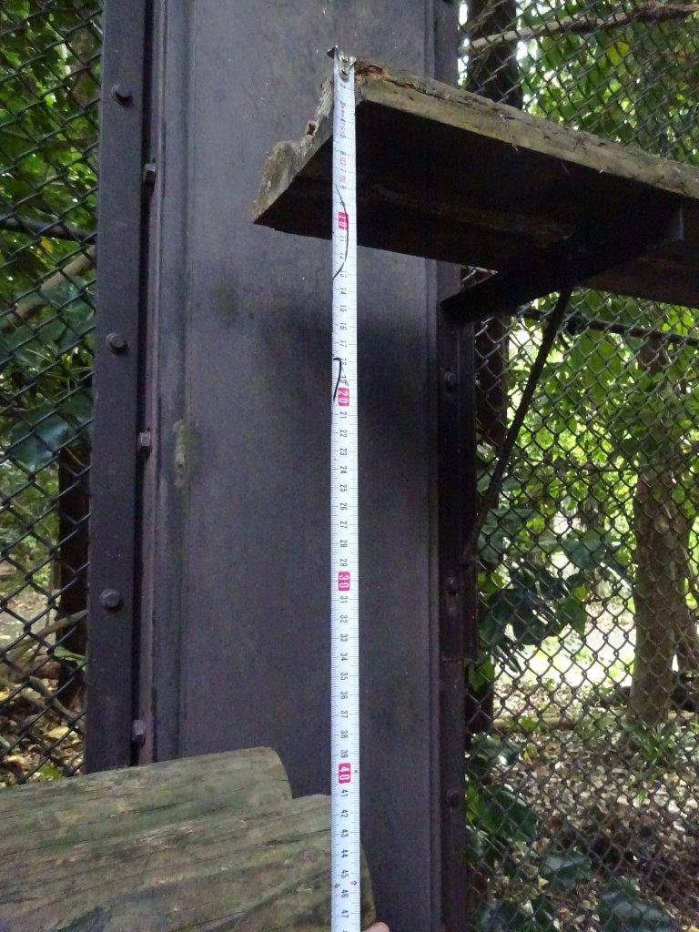 キャットウォークの段差は、70㎝から40㎝になった