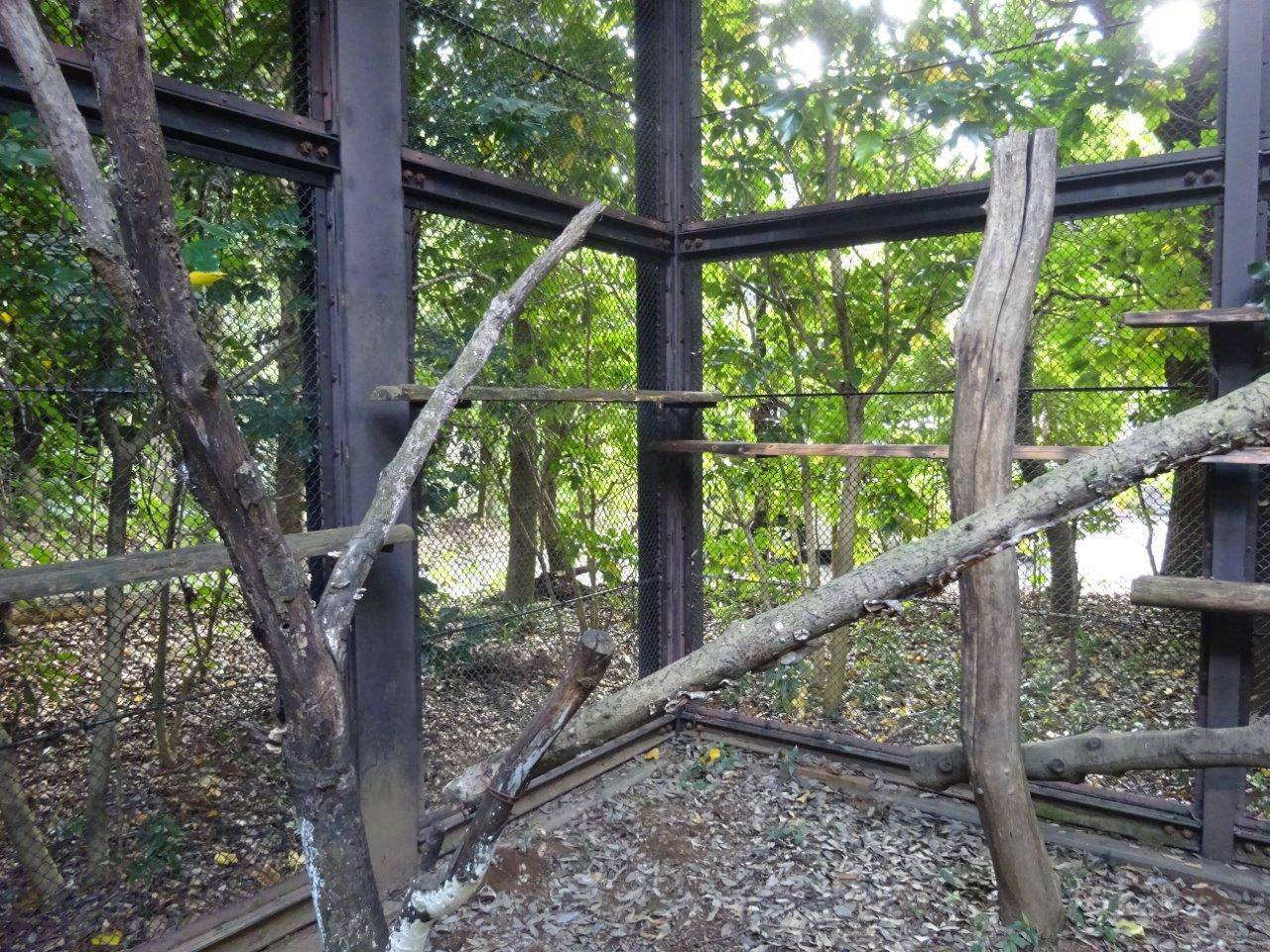 移設が終わったキャットウォーク