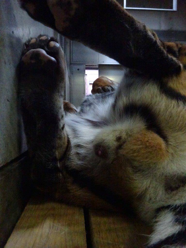 珍しいアングルの写真