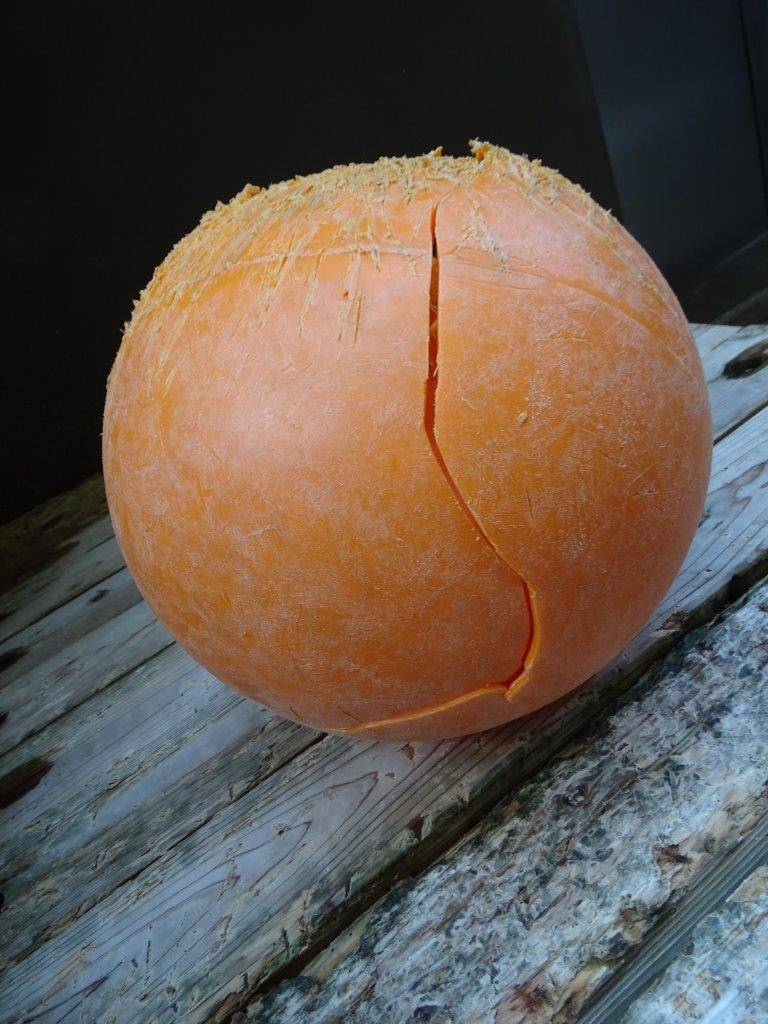 ムジュに破壊されたフロート