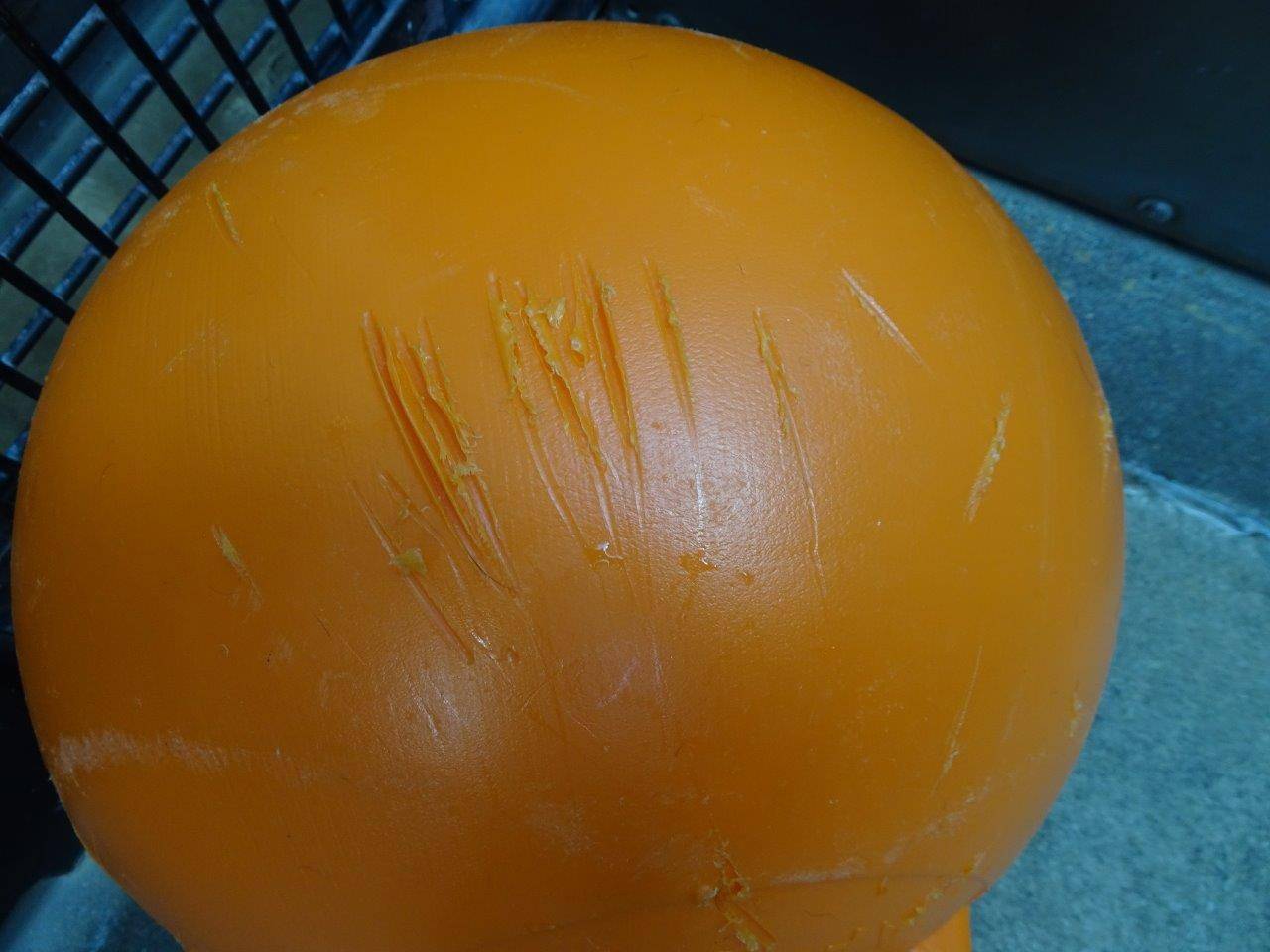 牙と爪の痕が入ったフロート