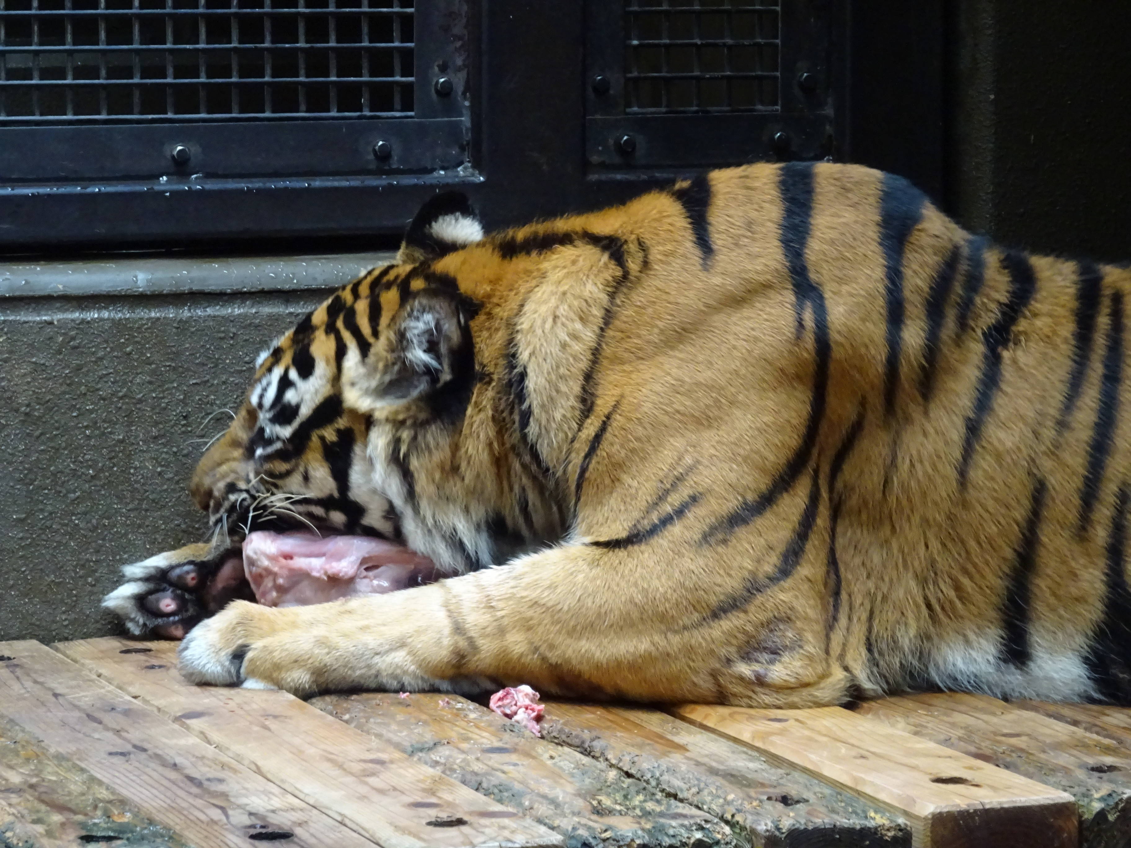 DSC06172.jpg