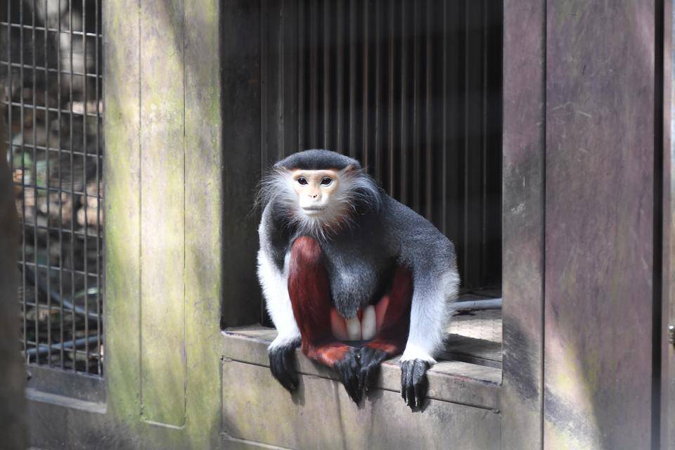 展示場に出ていくアーニ