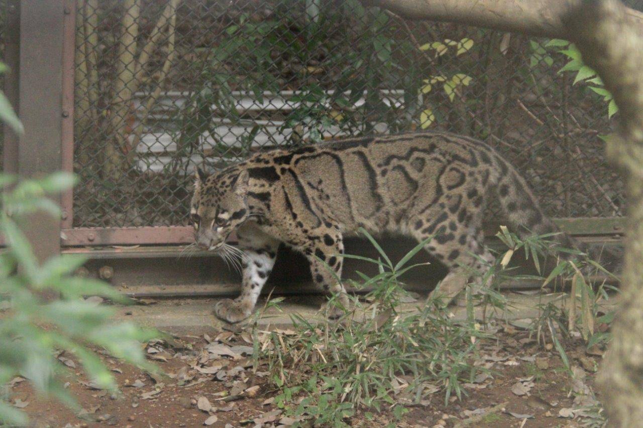 久しぶりの展示場をチェックするブー