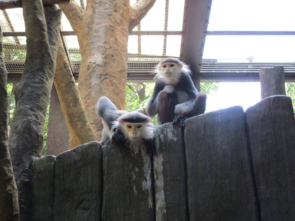 展示場でのアーニ(右)とマニ(左)のツーショット