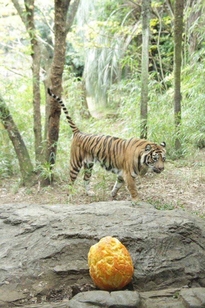 マーキングするデル